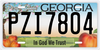 GA license plate PZI7804
