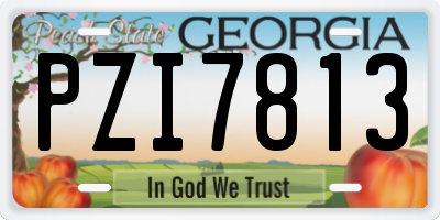 GA license plate PZI7813