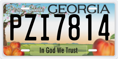 GA license plate PZI7814