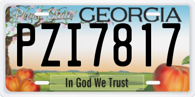 GA license plate PZI7817