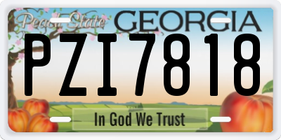 GA license plate PZI7818