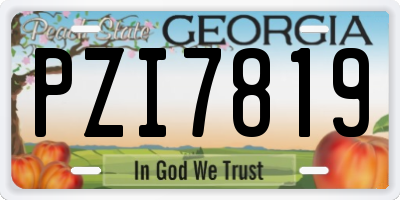 GA license plate PZI7819
