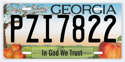GA license plate PZI7822