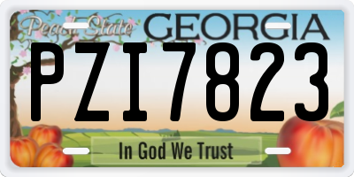 GA license plate PZI7823