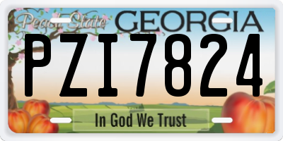 GA license plate PZI7824