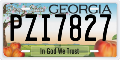 GA license plate PZI7827