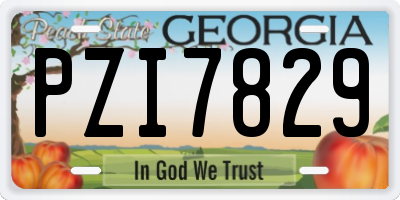 GA license plate PZI7829