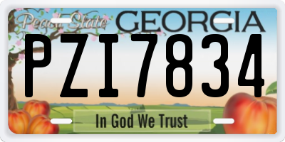 GA license plate PZI7834