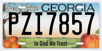 GA license plate PZI7857
