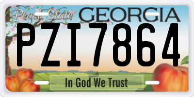 GA license plate PZI7864