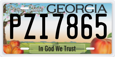GA license plate PZI7865