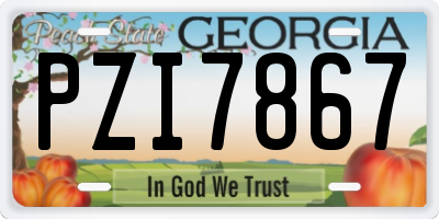 GA license plate PZI7867