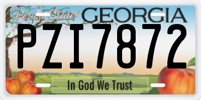 GA license plate PZI7872
