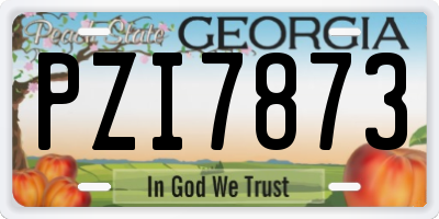 GA license plate PZI7873