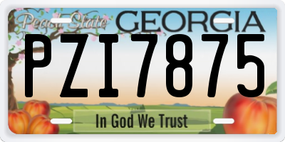 GA license plate PZI7875