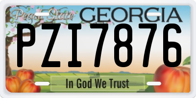 GA license plate PZI7876