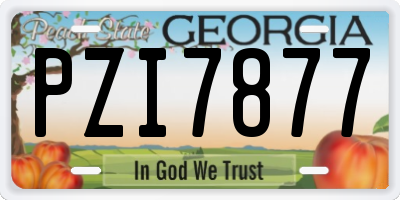 GA license plate PZI7877