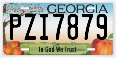 GA license plate PZI7879