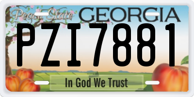 GA license plate PZI7881