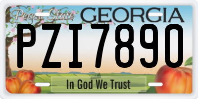 GA license plate PZI7890