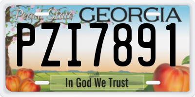 GA license plate PZI7891