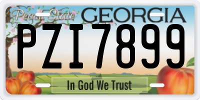 GA license plate PZI7899