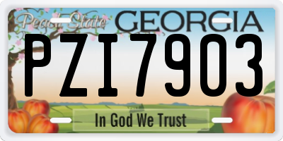 GA license plate PZI7903