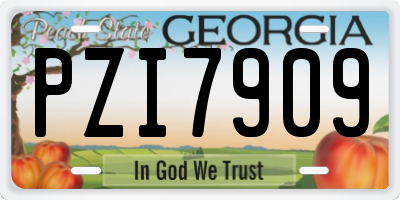 GA license plate PZI7909