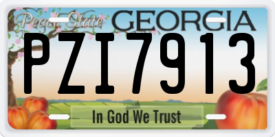 GA license plate PZI7913