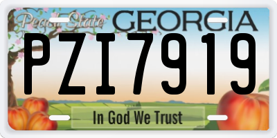 GA license plate PZI7919
