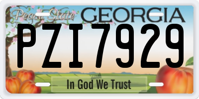 GA license plate PZI7929