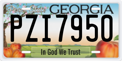 GA license plate PZI7950