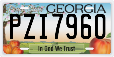 GA license plate PZI7960