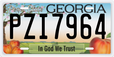 GA license plate PZI7964
