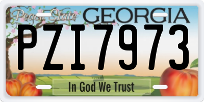 GA license plate PZI7973