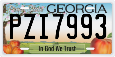 GA license plate PZI7993