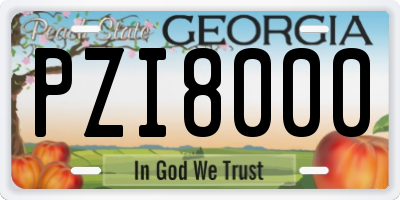 GA license plate PZI8000