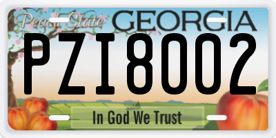 GA license plate PZI8002