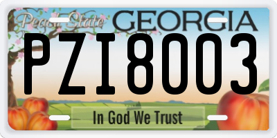 GA license plate PZI8003