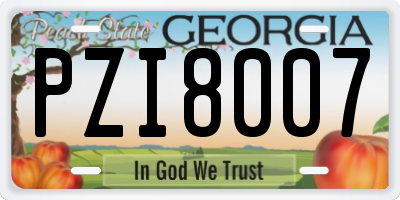 GA license plate PZI8007