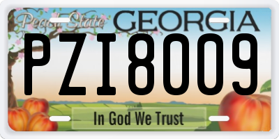 GA license plate PZI8009