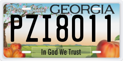 GA license plate PZI8011