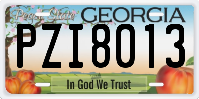 GA license plate PZI8013
