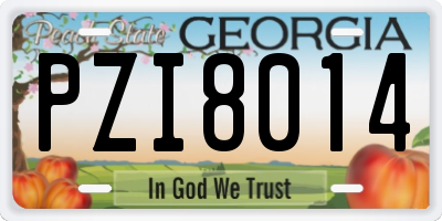 GA license plate PZI8014