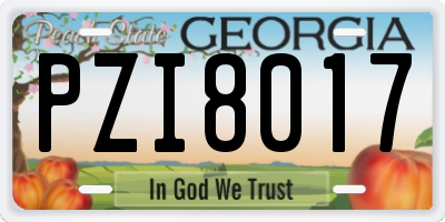 GA license plate PZI8017