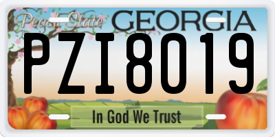 GA license plate PZI8019