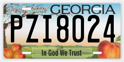 GA license plate PZI8024