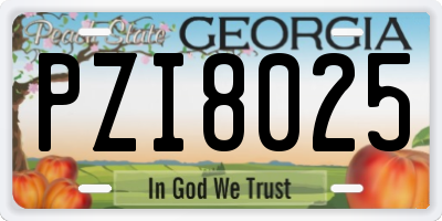 GA license plate PZI8025