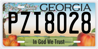 GA license plate PZI8028