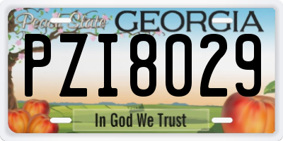 GA license plate PZI8029